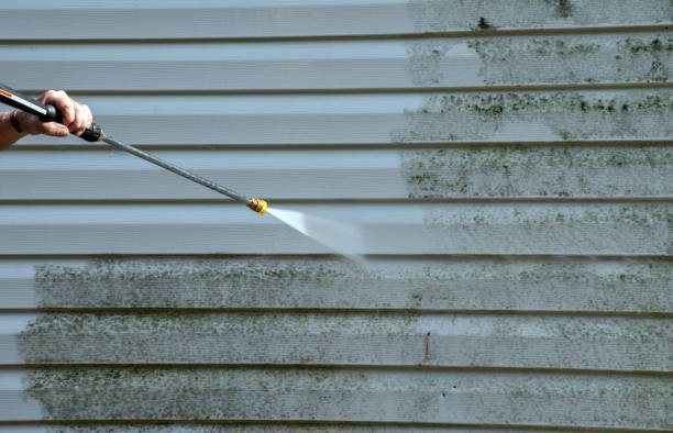 Best Roof Power Washing Services  in Fox Lake, IL