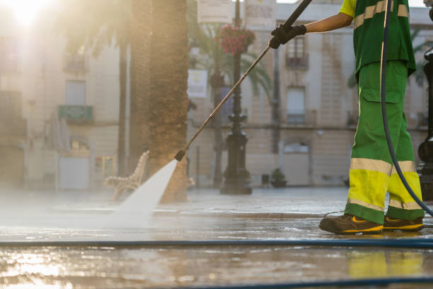 Best Deck Cleaning Services  in Fox Lake, IL